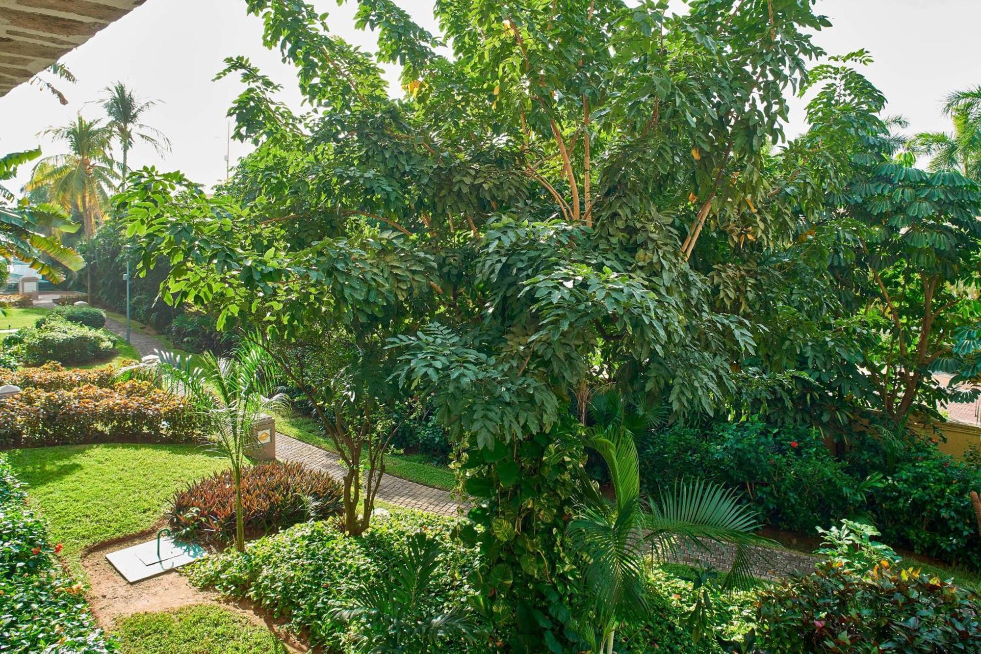 Garden View, Guest room, 1 king,1698919762:JPEG