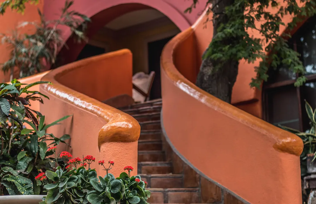 Collection O Casa Bella Hotel Boutique, Cabo San Lucas-1