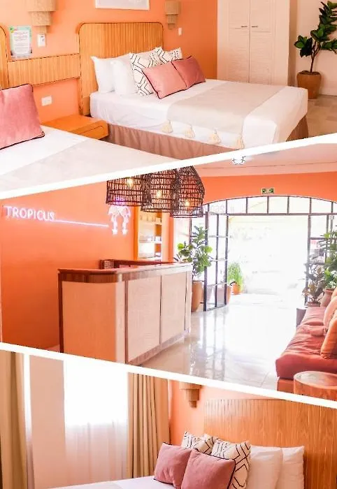 Hotel Tropicus Boutique-1