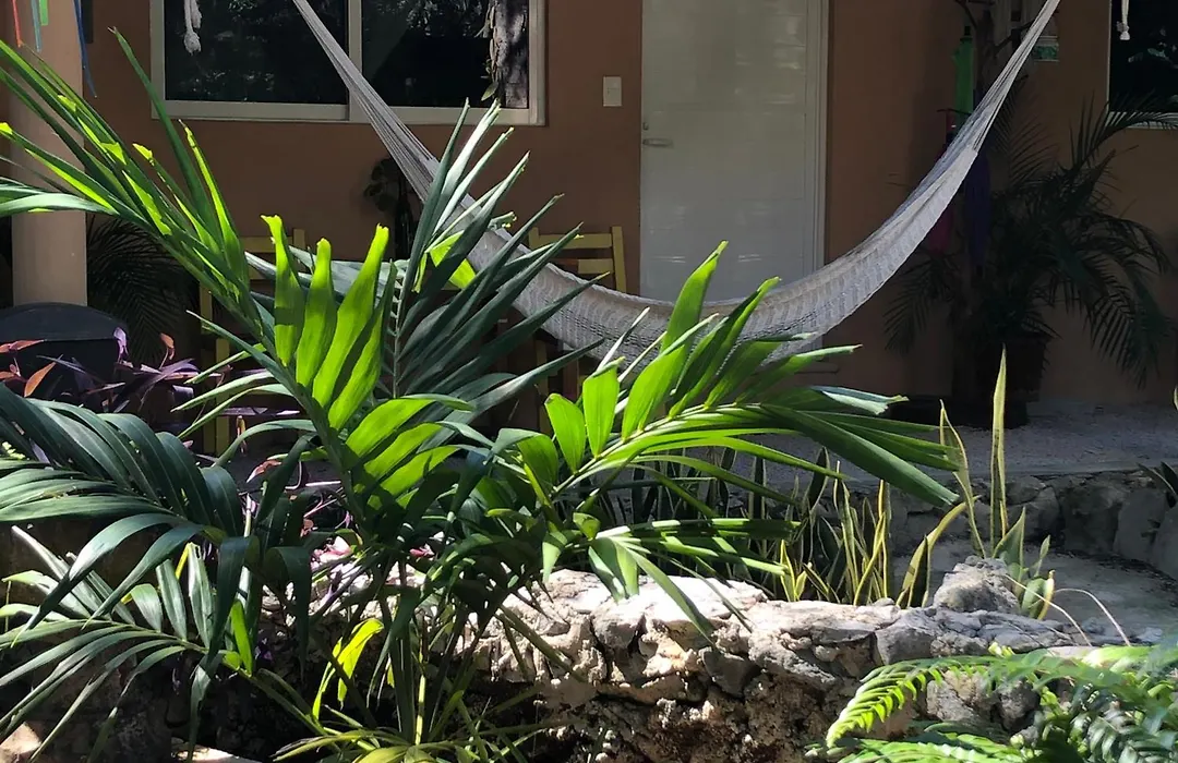 Casa Tzalam Tulum Selva-1