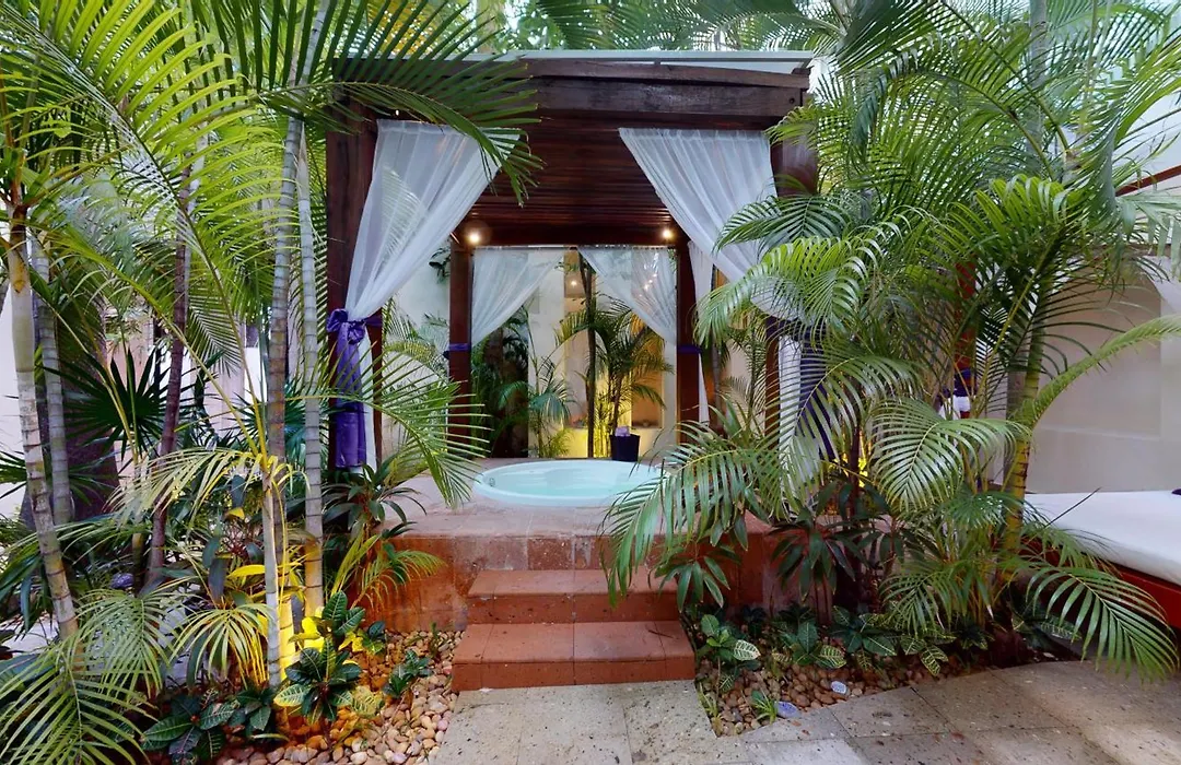 Oasis Palm-1