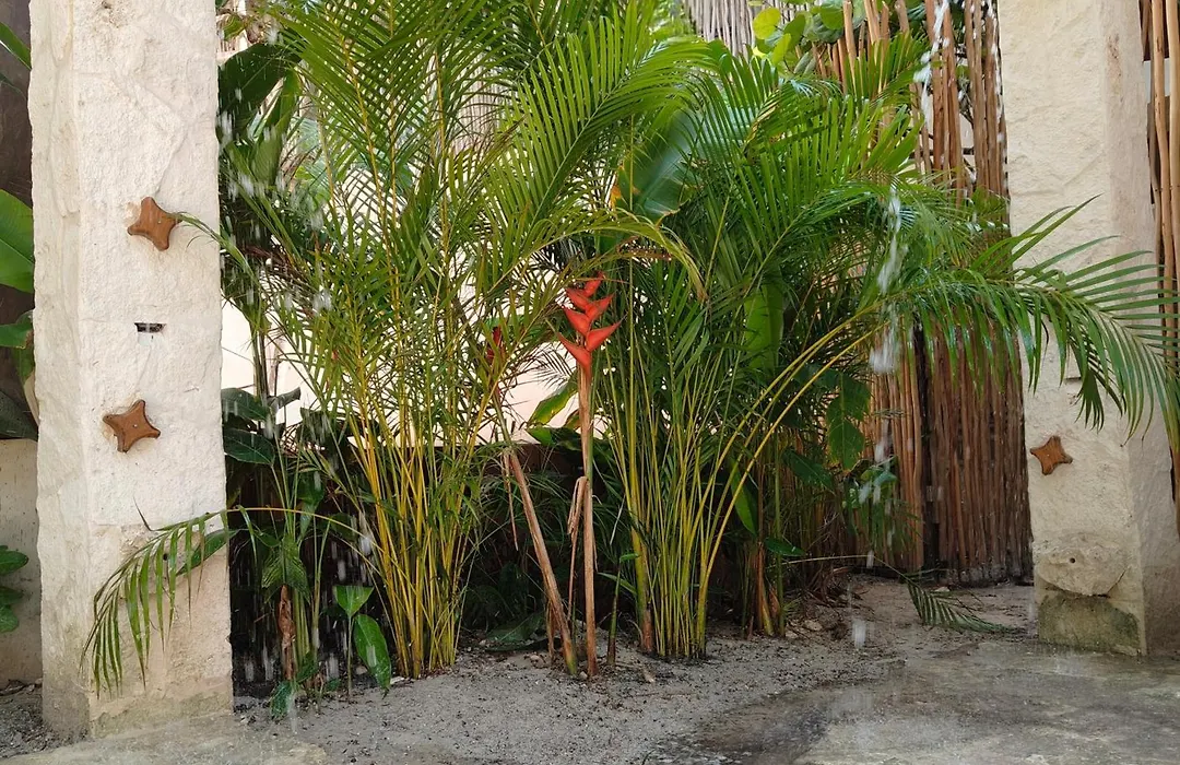 Azucar Hotel Tulum-1