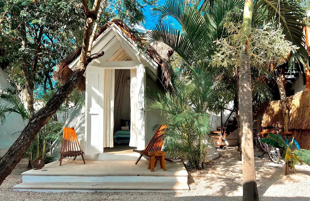 Mimosa Tulum-1