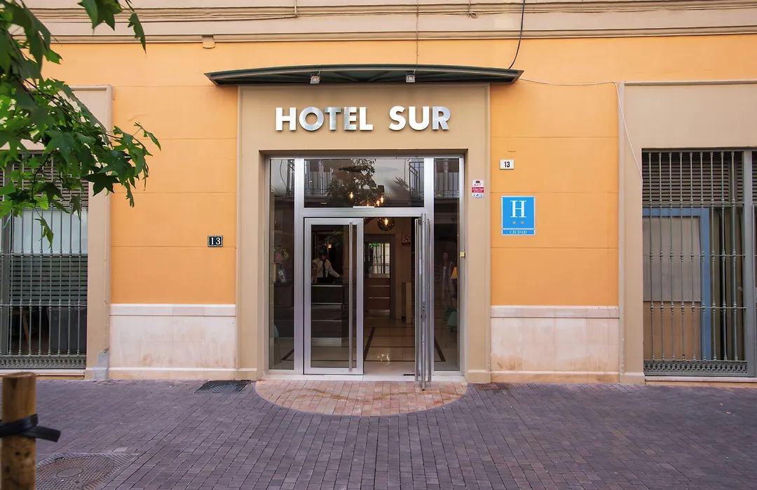 Hotel Sur Málaga-1