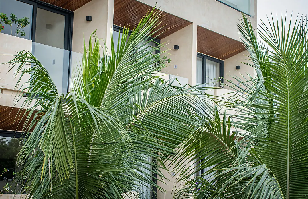 Moonshine Tulum Hotel & Hostel-1