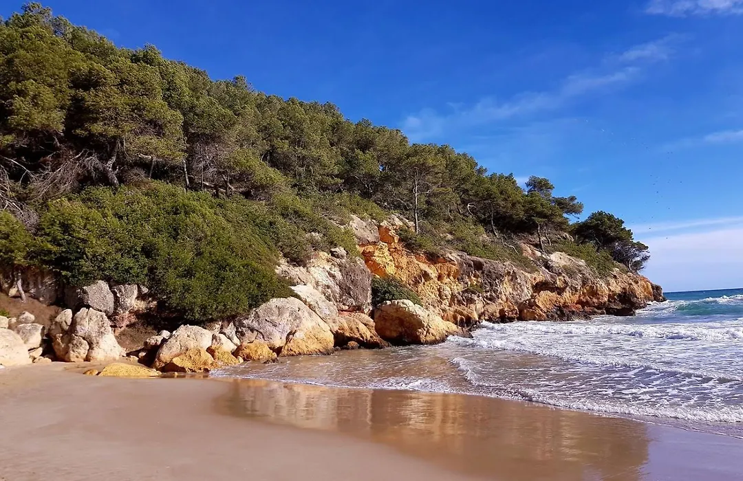 Apartamentos Cala Azul La Móra-1
