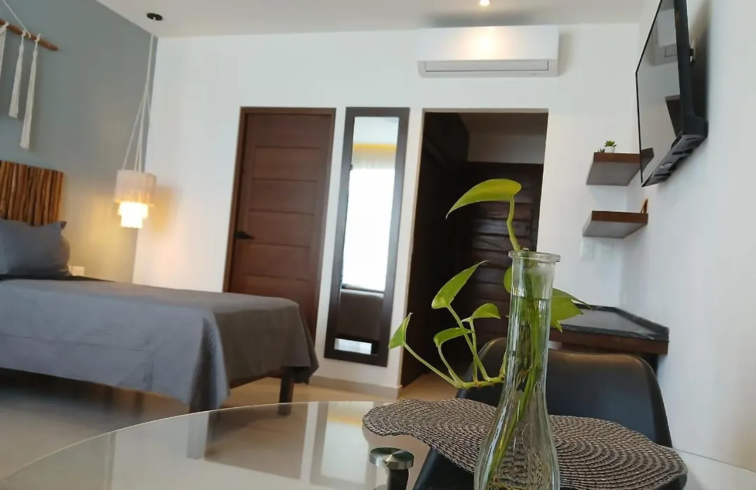 Ah Xok suites 5a Avenida-1