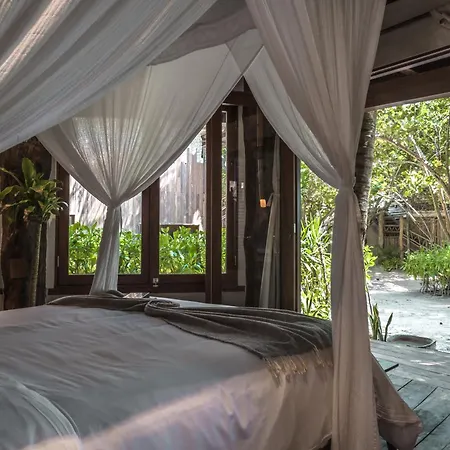 Delek Tulum-2