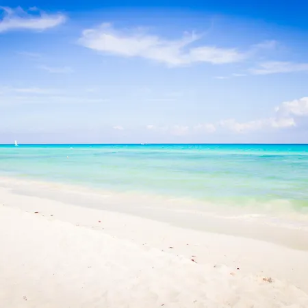 The Reef Playacar Beach Resort & Spa-3