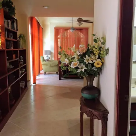 Casa Beard, Spacious Guest House With High Speed Wifi & Pool.-2