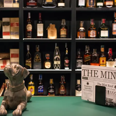 Vincci The Mint-3