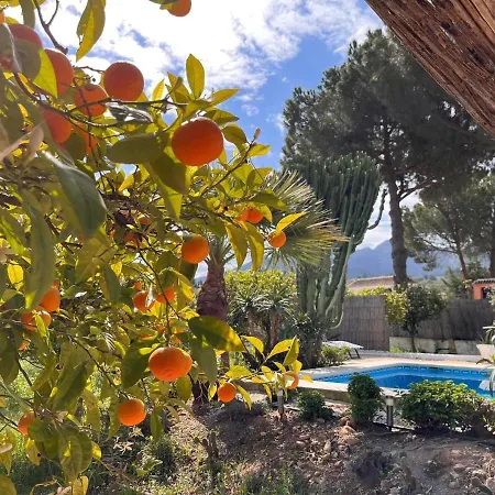 Casa Pipa Alhaurín el Grande - vrijstaande casita met privé zwembad en grote tuin-3
