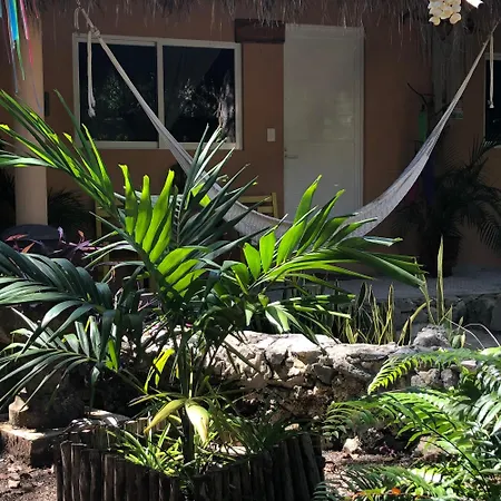 Casa Tzalam Tulum Selva-2