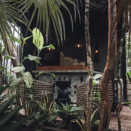 Siwa Wellness Villa Collection-3