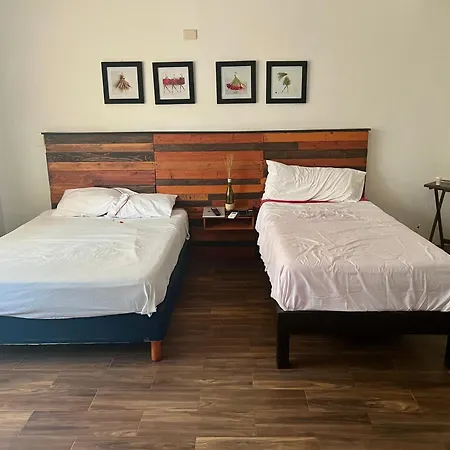 Cancun-Soho B&B-3