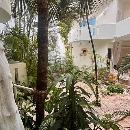 Coco Rio Hotel - Mamitas Beach Area-3