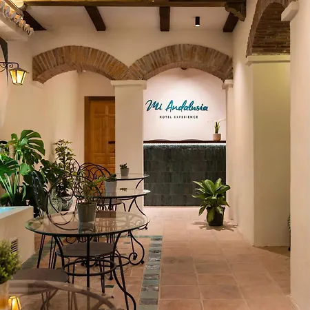 Mi Andalusia Hotel Experience-2