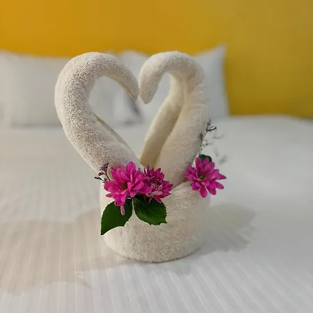 Hotel International House Riviera Maya-3