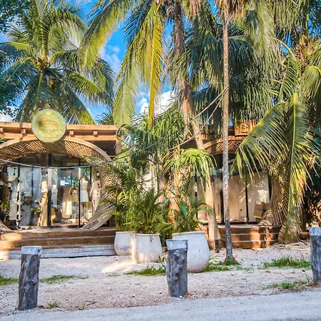 Moonlight 309 At Aldea Zama-2