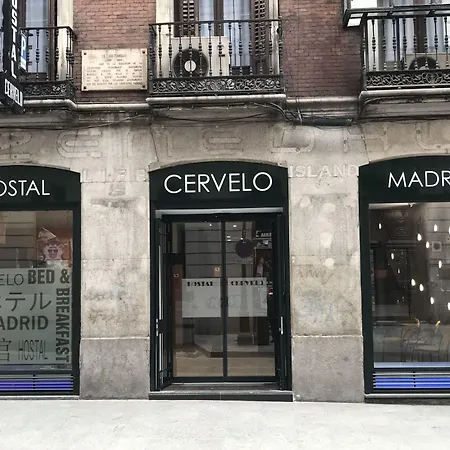 Hostal Cervelo-3