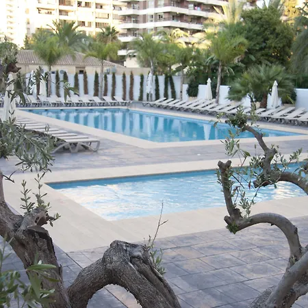 Flash Hotel Benidorm - Recommended Adults Only 4 Sup-3
