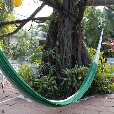 Eco-hotel El Rey del Caribe-2