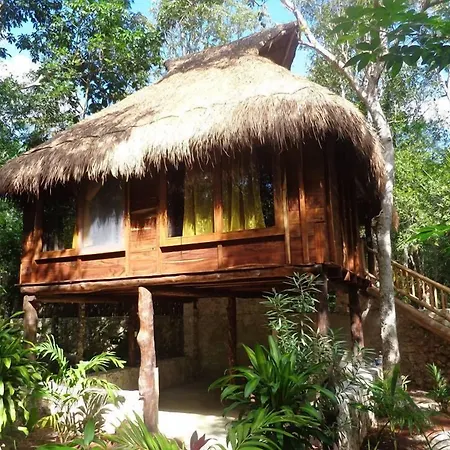 Casa Mango-2