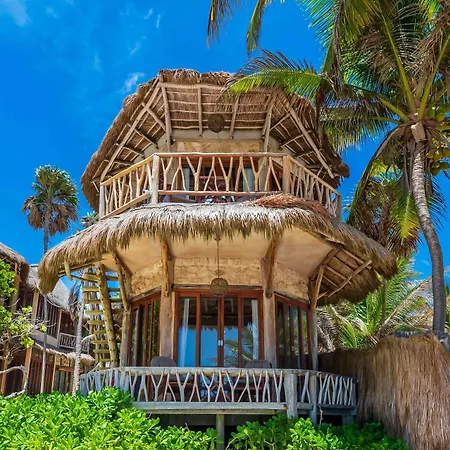 Alaya Beachfront Tulum Hotel-3