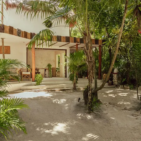 Dos Ceibas Tulum - Feel Good Hotel-3