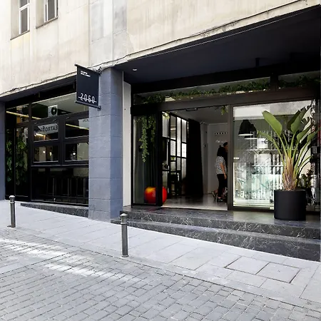 2060 The Newton Hostel-3