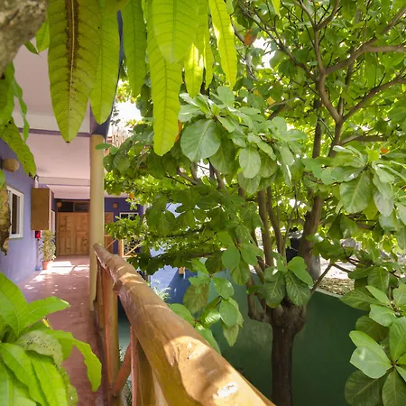 Casa Almendro-2