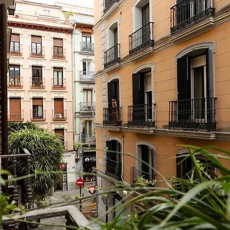 Hostal La Zona-2