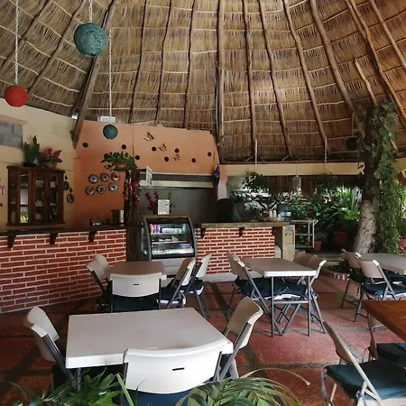 Vallartasol Hotel-2