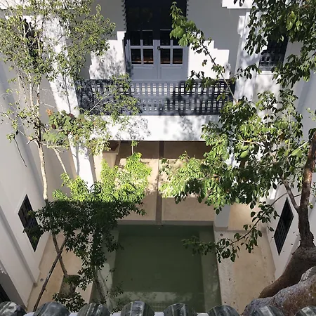 Ambre & Epices Jungle Hotel & Spa-2
