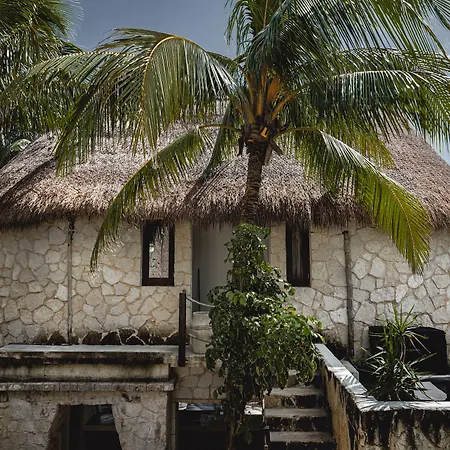 Nest Tulum-2
