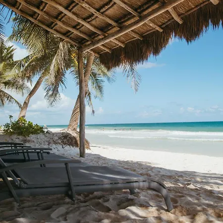 Olas Tulum-2