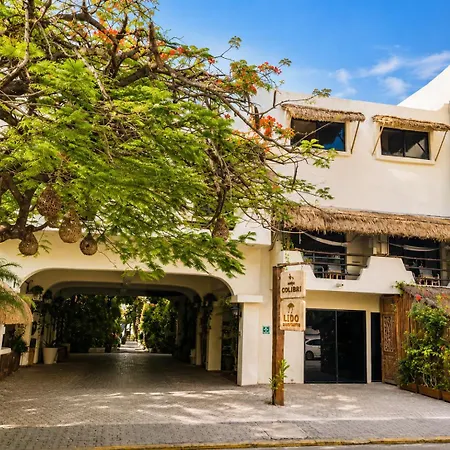 Hotel Casa Colibri-3