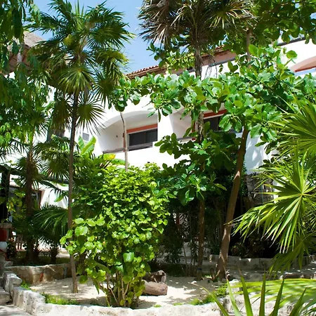 Pelicano Inn Playa del Carmen - Beachfront Hotel-2