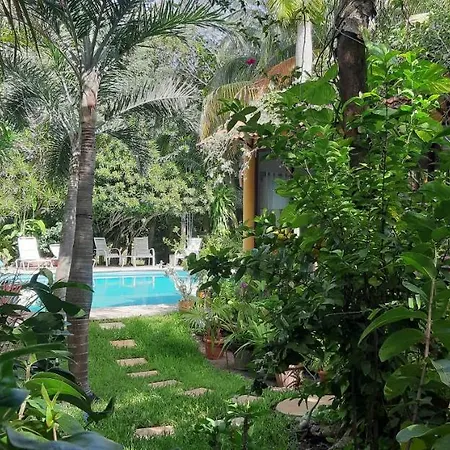 Casa Kin33-2