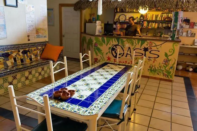 Oasis Hostel Puerto Vallarta