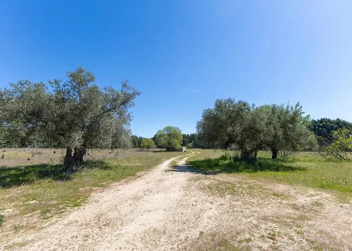 Finca el Palomar de la Viña Madrid
